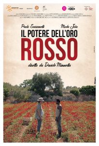 Scopri di più sull'articolo Il potere dell’oro rosso