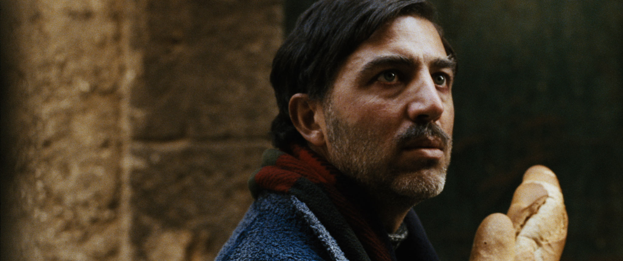 POLLICINO_STILL 1