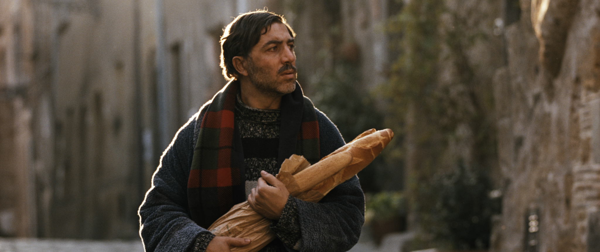POLLICINO_STILL 3