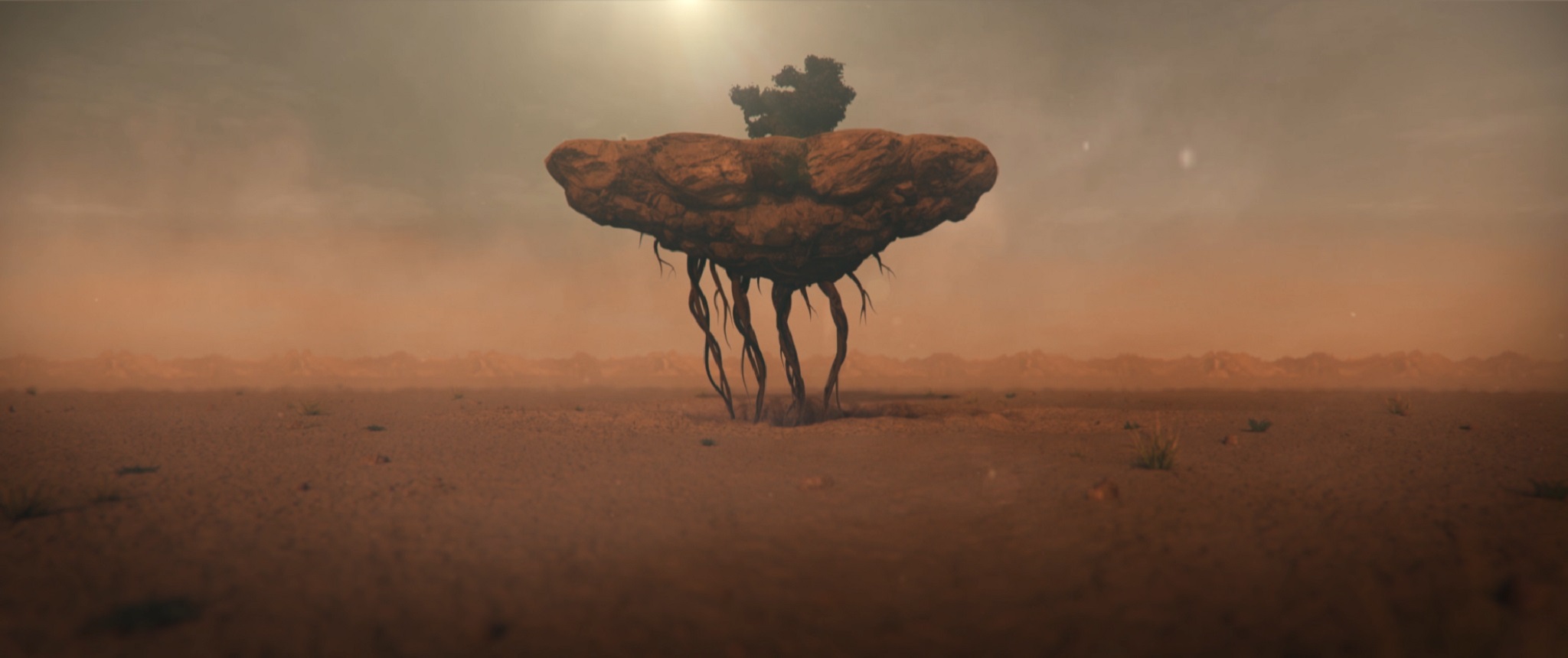 BROKEN ROOTS_STILL 2