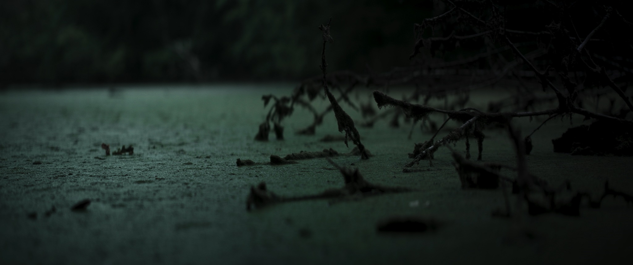 LA CACCIA_STILL 2