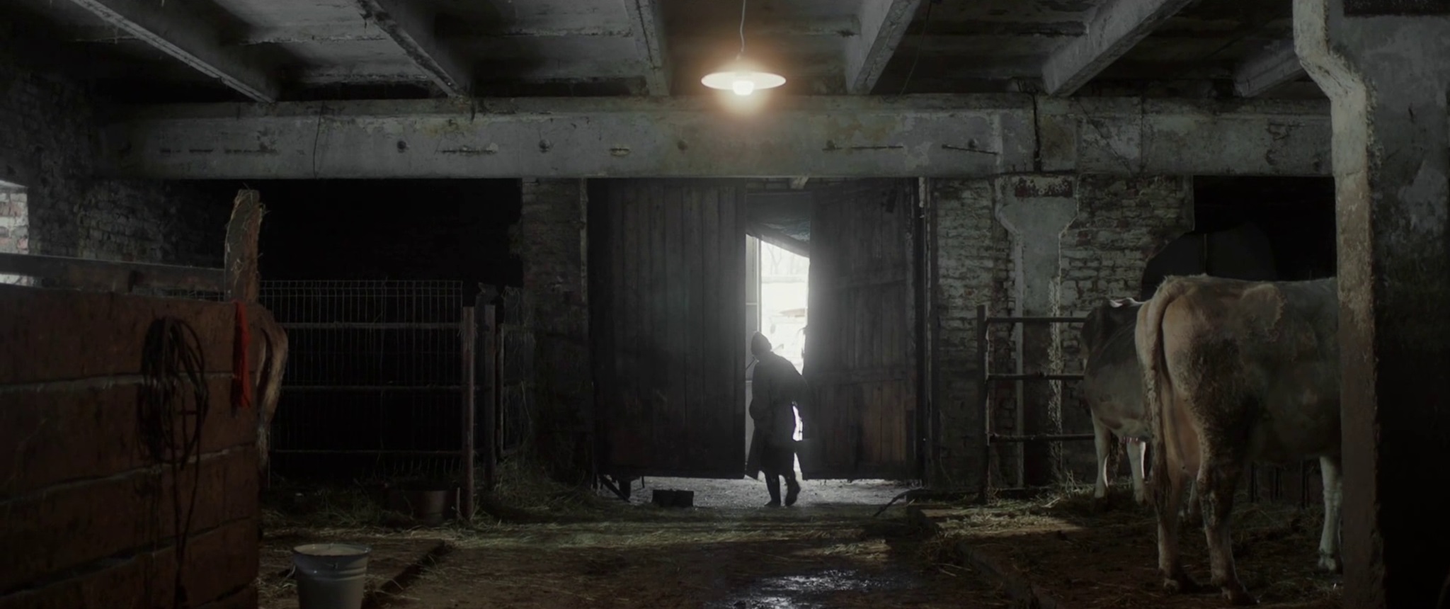 CELEBRATION_STILL 5