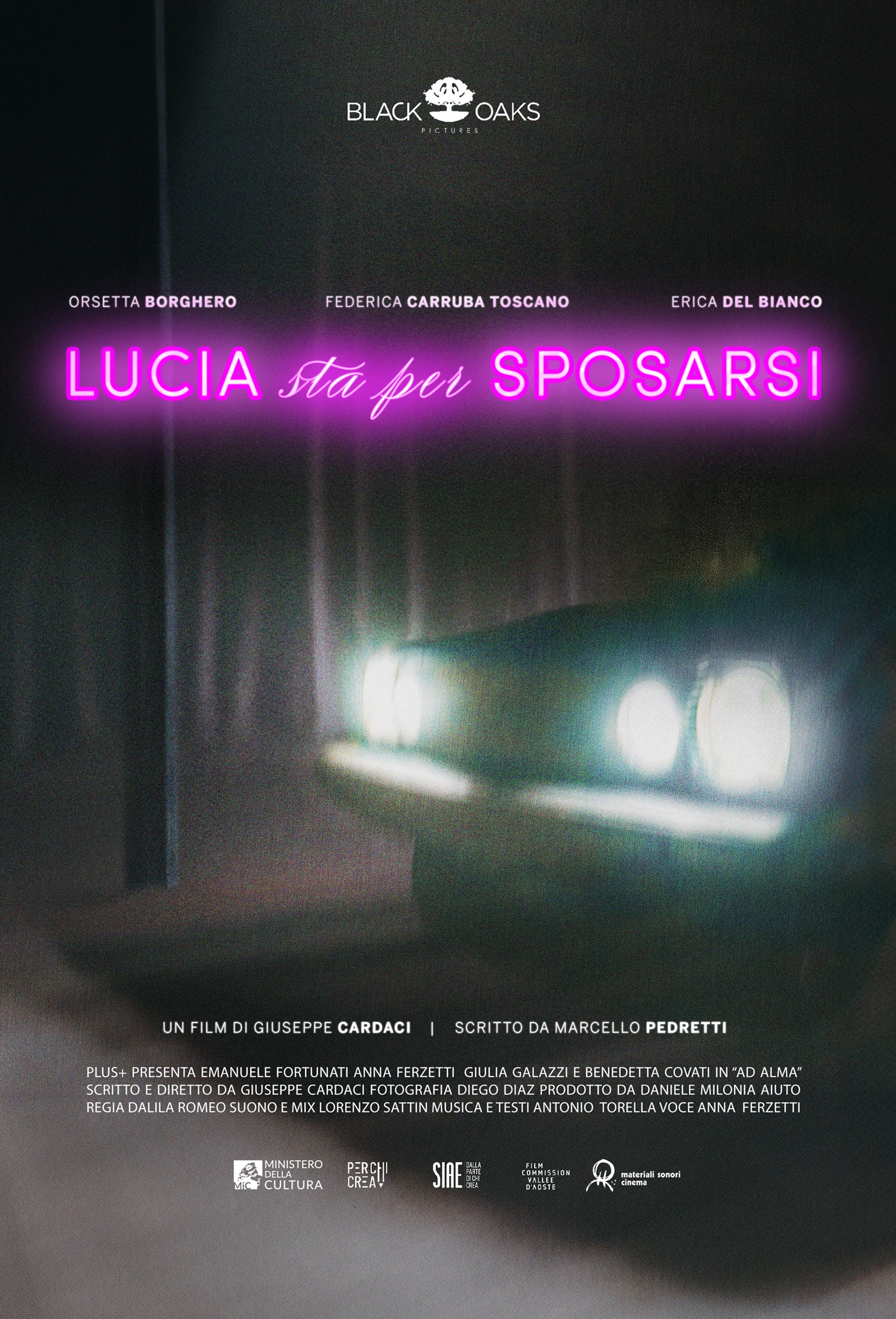 Scopri di più sull'articolo Lucia sta per sposarsi